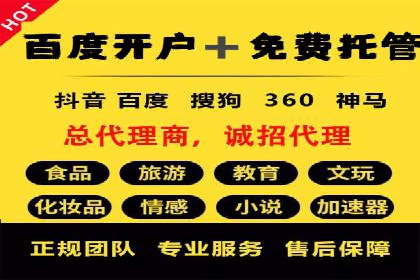 SEM托管服务案例：打造全方位营销解决方案